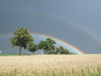 Bild eines Regenbogens mit Band des Alexander