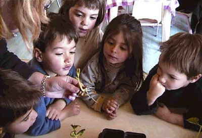 Foto: Kinder schauen sich eine Pflanzenwurzel an