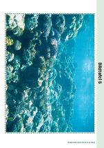 Ein Habitat – Das Korallenriff (Ozean)