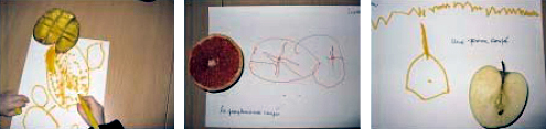Zeichnungen von geschnittenem Obst