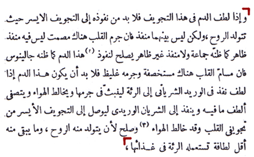 Textausschnitt von Ibn al-Nafis zum
Lungenkreislauf