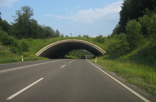 Foto einer Grünbrücke bei Böblingen