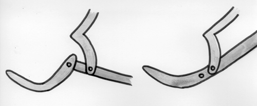 Zeichnung: Modell eines Flügelgelenks