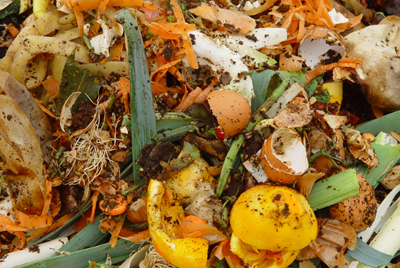 Foto: Eierschalen, Gemüse- und Obstreste auf dem Komposthaufen