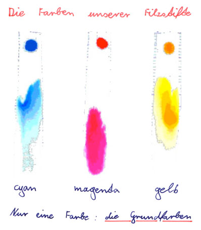 Ergebnisse der Chromatographie mit Filzstiften
der Farben Cyan, Magenta und Gelb